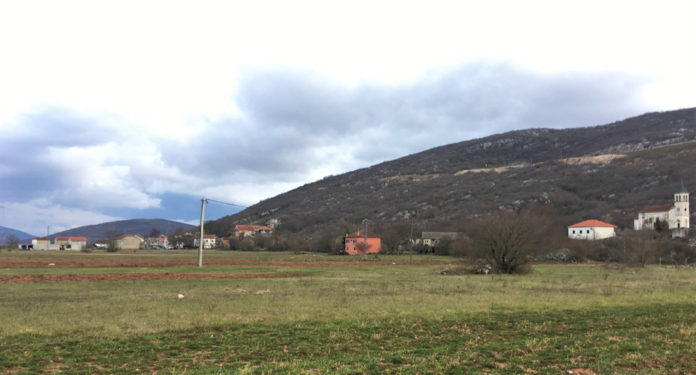 Liska 11.3. 01